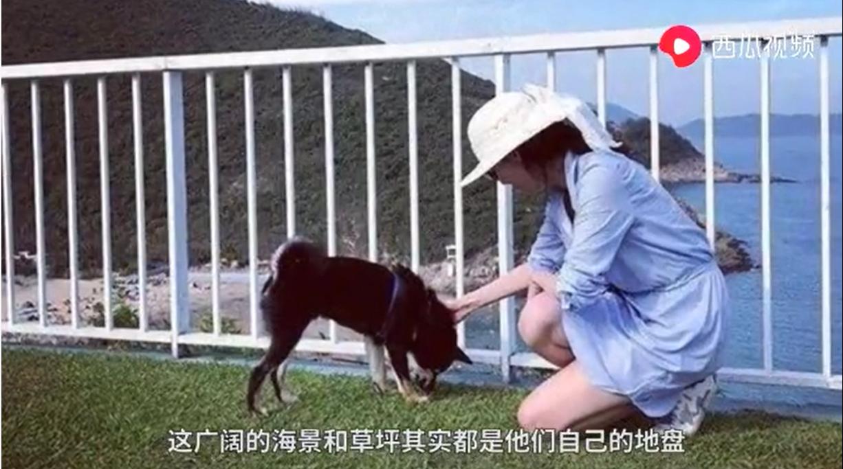 关晓彤鹿晗官宣之前互动微博,关晓彤鹿晗同居了吗