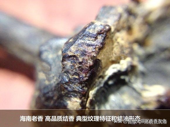 海南沉香特征图解,海南红土沉香味道和特征