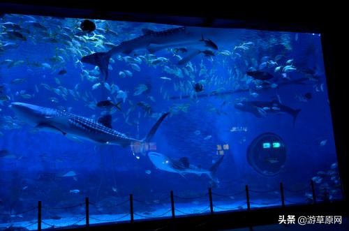 辽宁动物园野生动物,辽宁省动物园