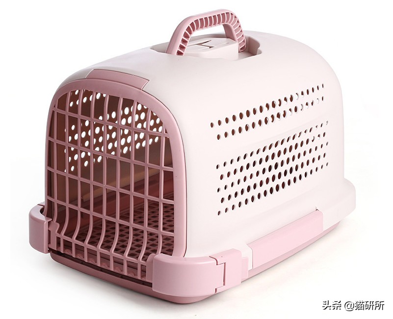7大航空公司猫咪托运攻略,猫咪托运航空箱需要准备什么