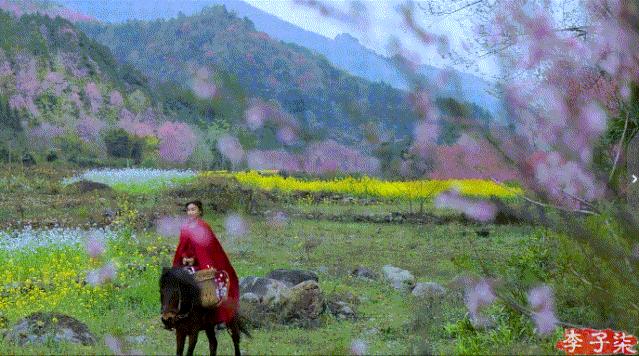 菜吧：又火了！李子柒“鲜花宴”再次火爆全网！数千万网友看酸了