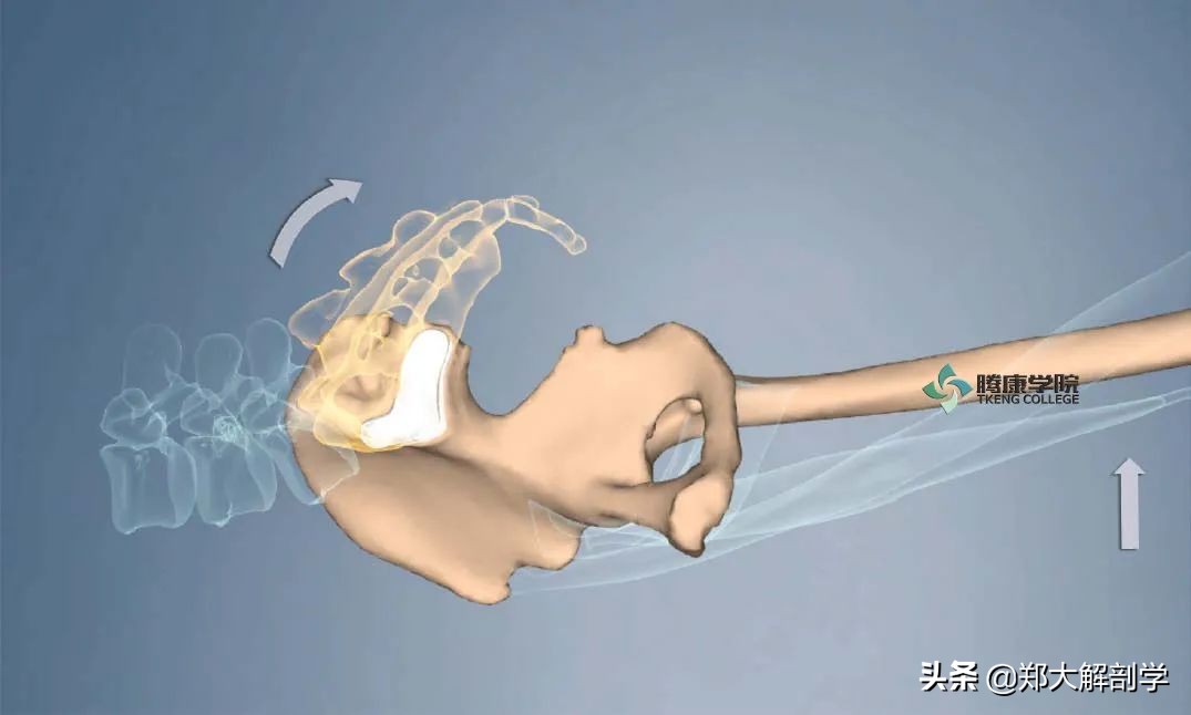 下背部疼痛吃什么药,治疗背部疼痛的最好方法