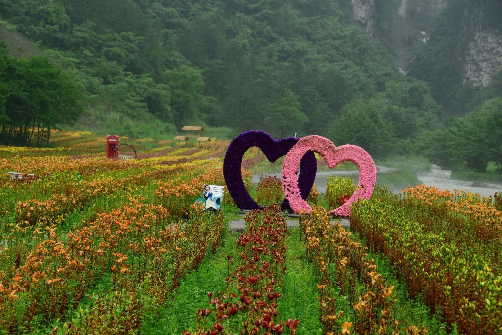 六月回忆童年,六月回忆母校