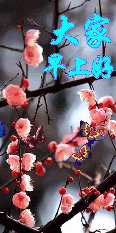 11月快乐我把祝福送给你高清图片,我把祝福送给你动态简谱