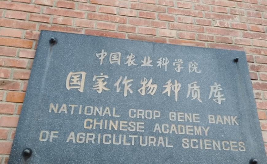 种子如何进入种质库,什么样的种子才可以选入种质库