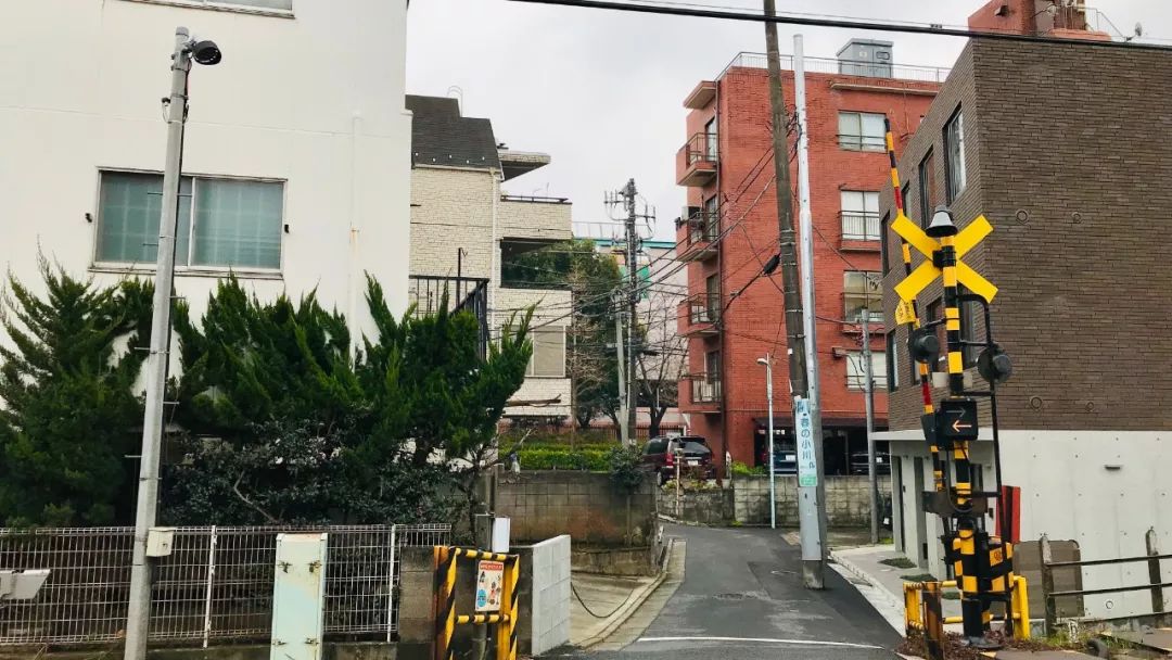 笔者飞赴东京，从巨型“地下之城”看TOD的“成都路径”