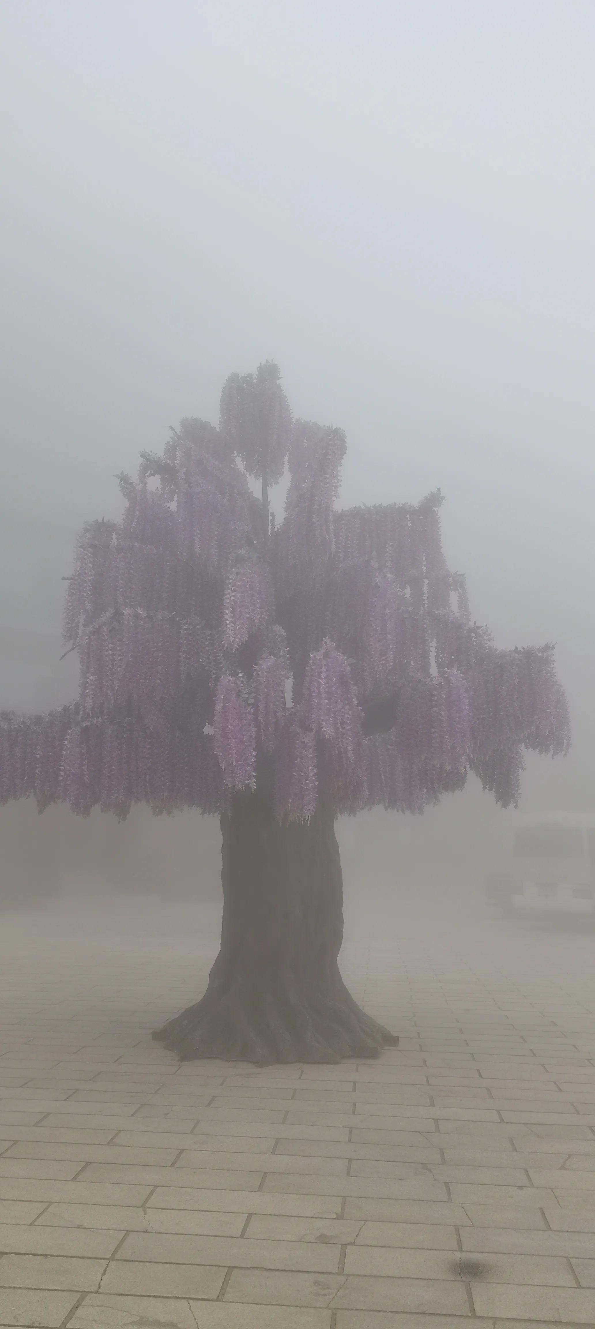 修山工，一道别样美景