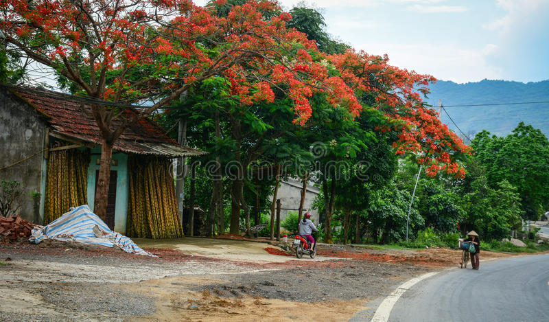 广东省梅州市区域图,广东省梅州经济