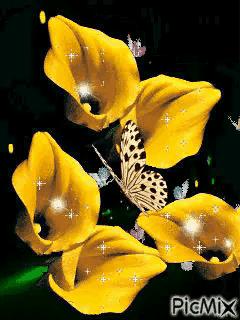 这是我见过最美的风景吗,这是我见过的最美的风景英语