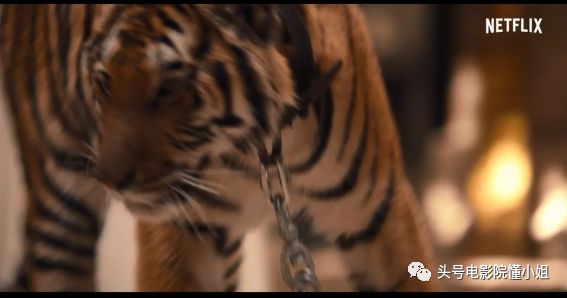 9.1分高能剧回归开局燃爆,9.1分高能剧回归开局燃爆多少集