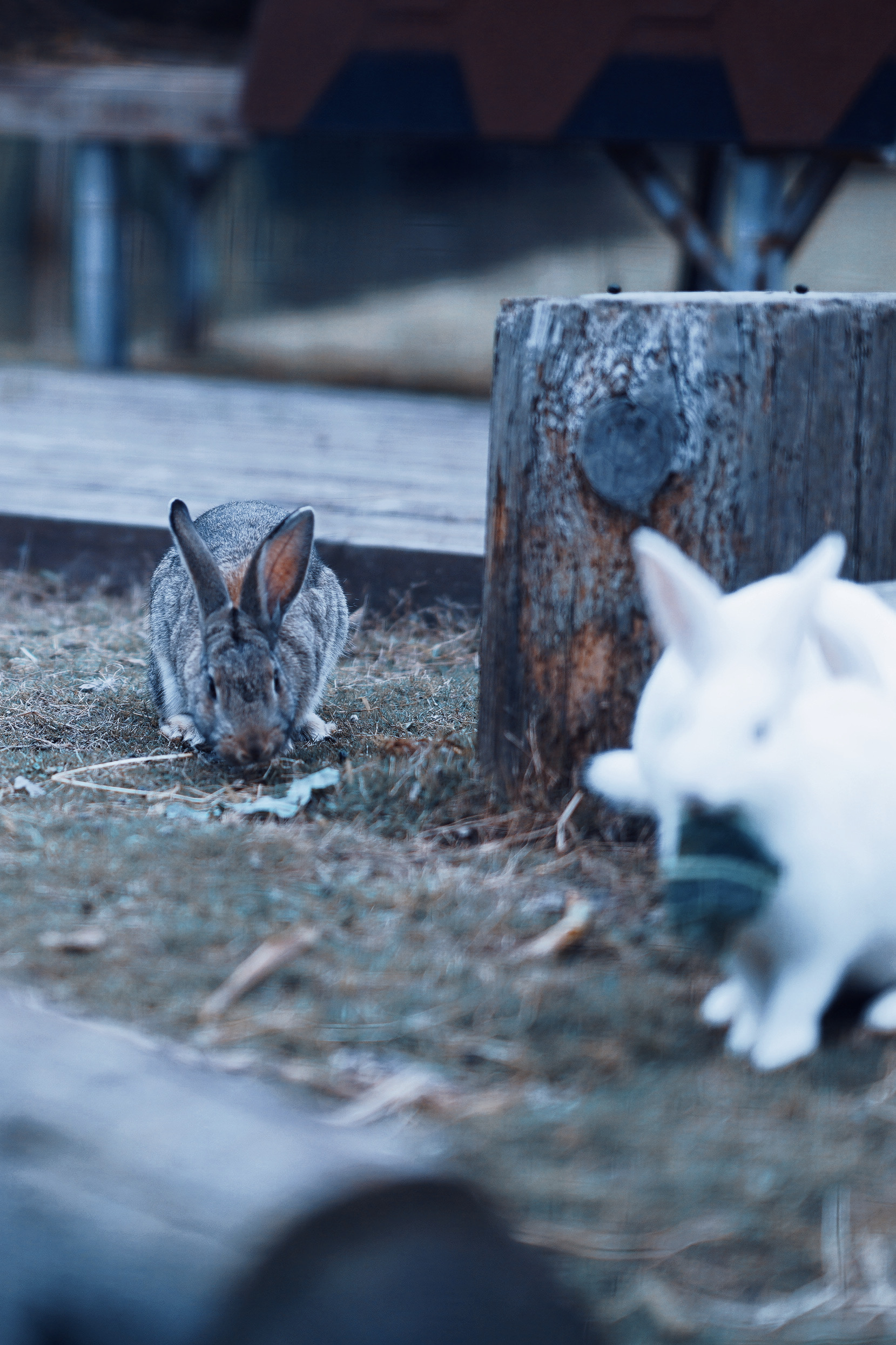 苏州特色民宿推荐,苏州最有特色民宿推荐