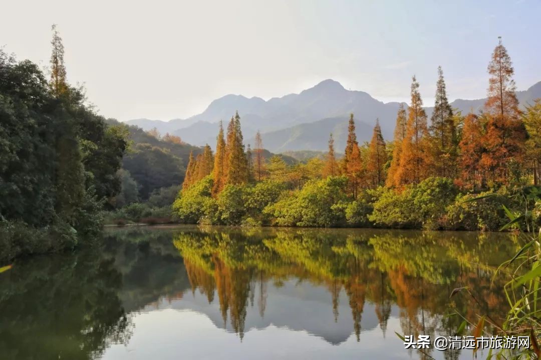 寒假亲子游推荐4-5天游,暑假亲子游玩地点推荐3天2夜