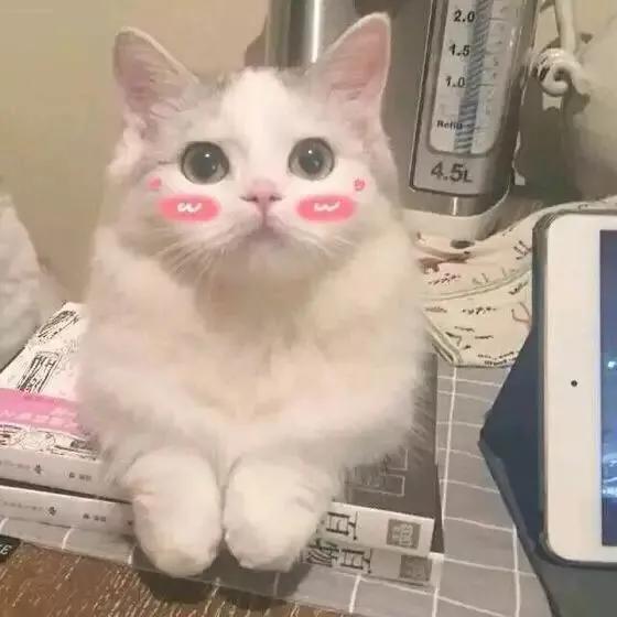 不一样的高考2020,不一样的高考