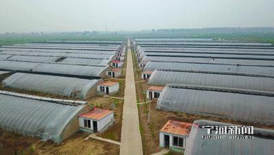 线上线下融合发展丨今年6·18”宁河实体商家争做主场