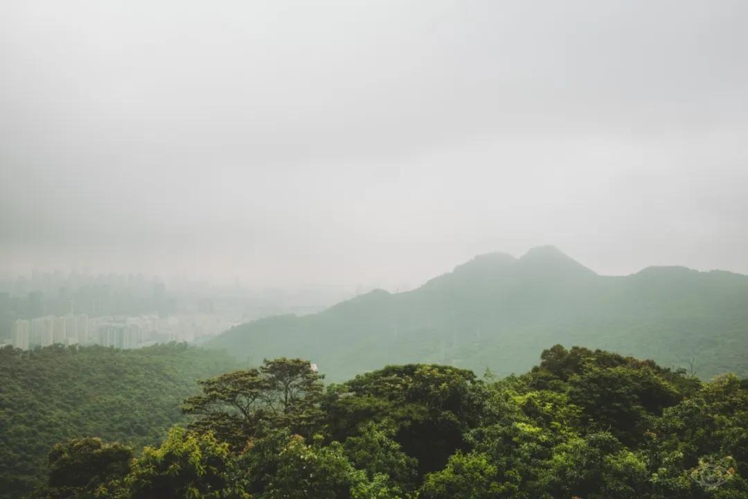 深圳值得打卡的建筑物,深圳最值得打卡的山