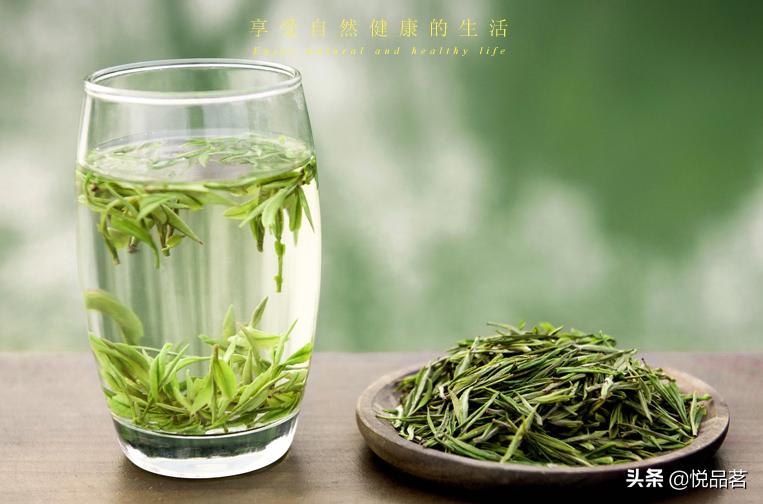 安吉白茶什么味道最好喝,安吉白茶适合什么样的人喝