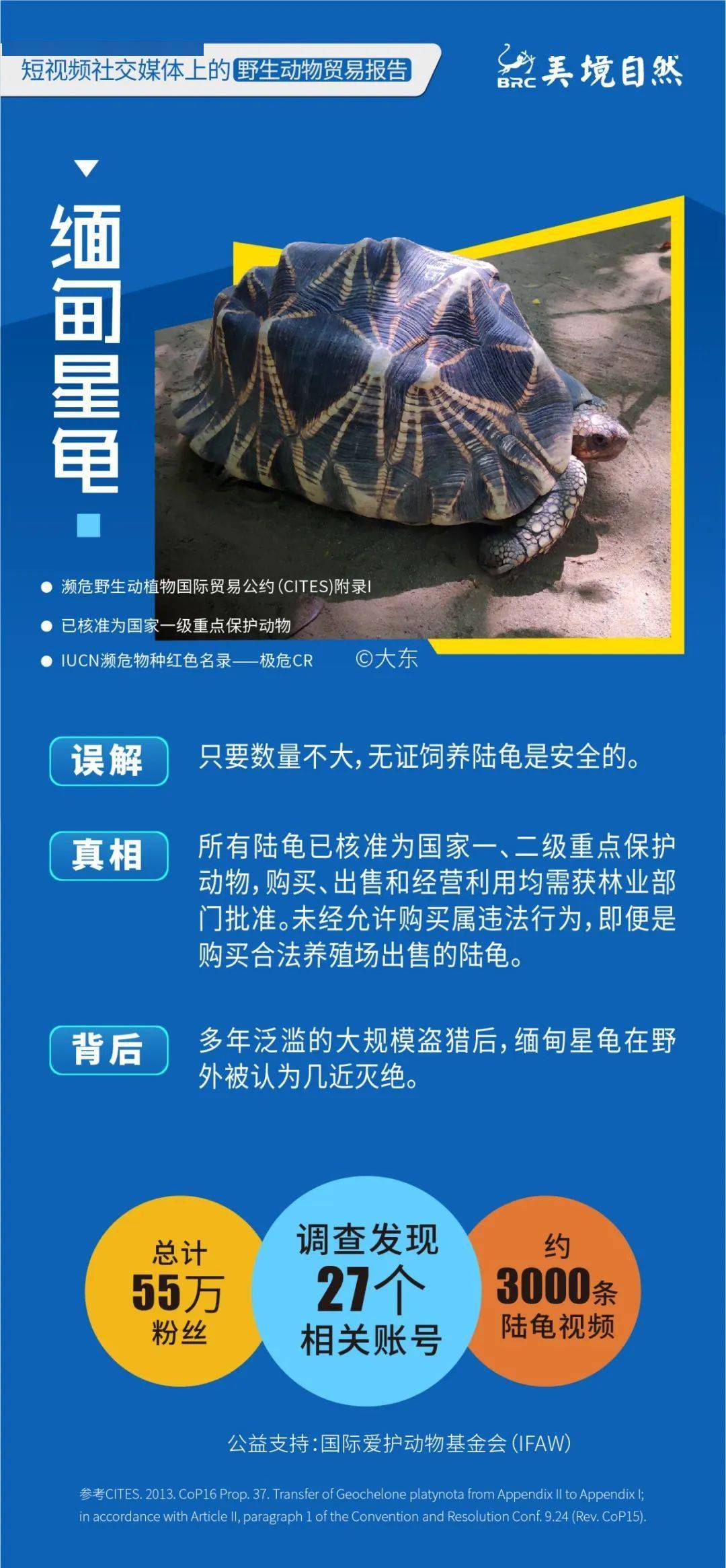 短视频以及电商生态研究报告,短视频与直播电商行业调研报告