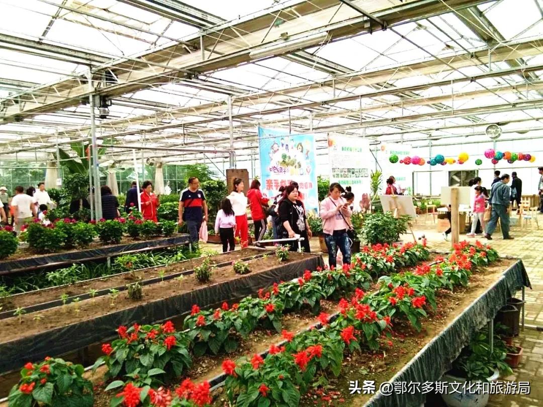 国庆去内蒙古旅游景点,国庆去哪儿最好玩内蒙