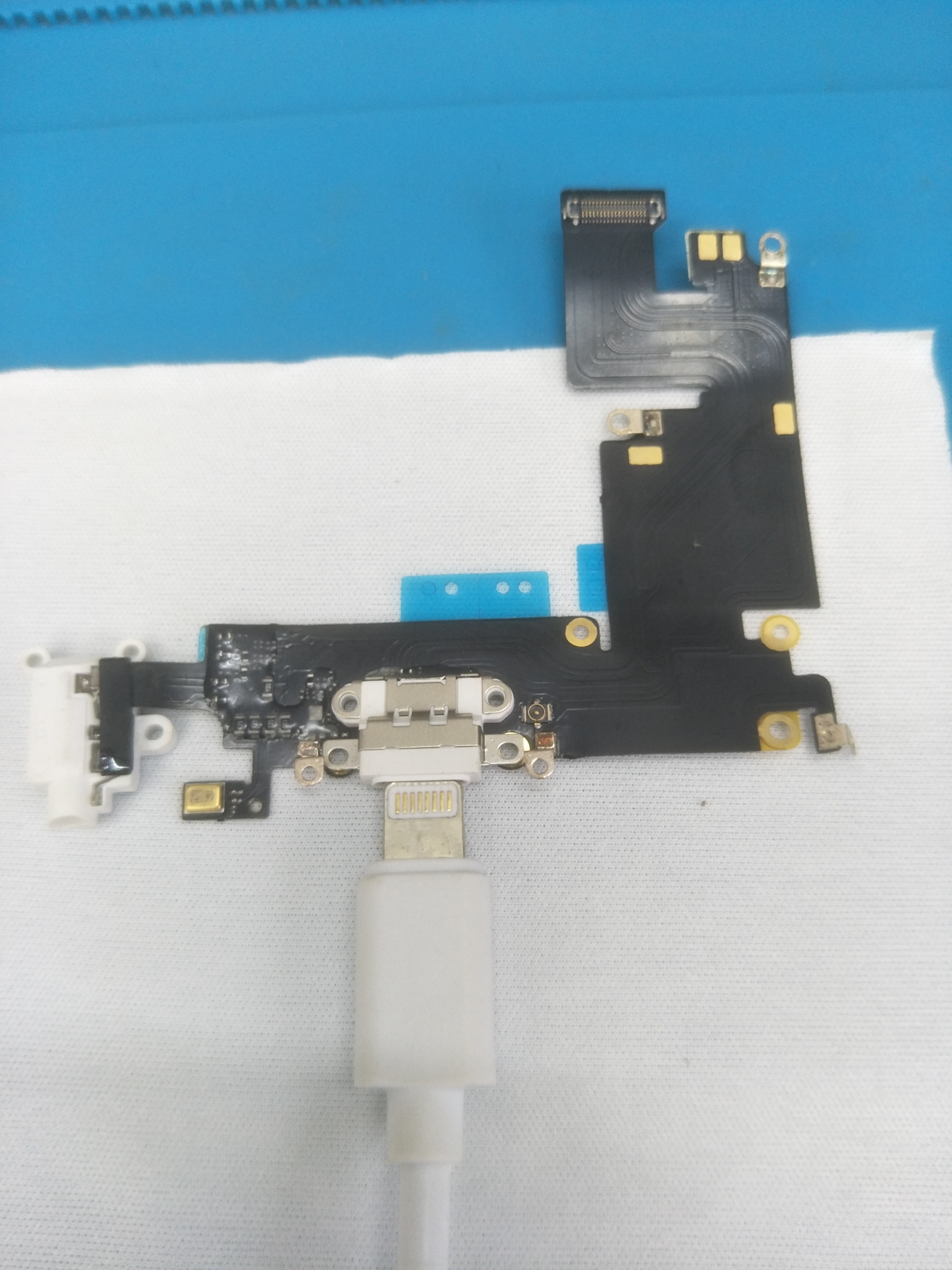 *窥偷**苹果6s“菊花”（尾插）的秘密