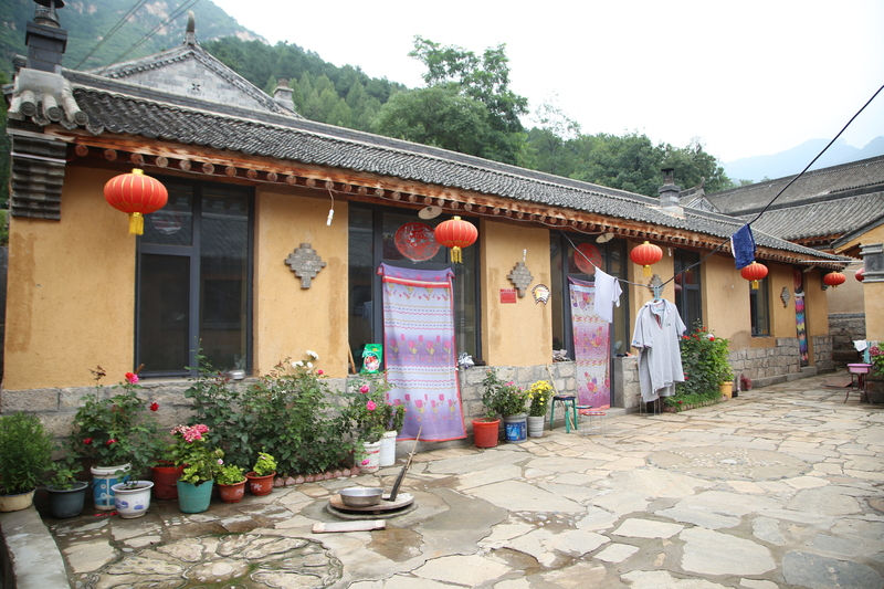 彪炳史册的伟大奇迹全文,脱贫攻坚的伟大成就