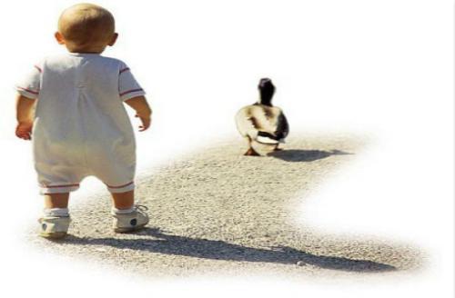 专家教你如何选鞋子,儿童选什么样的鞋对脚型好