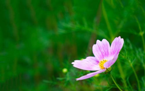 祝福自己生日的唯美句子发朋友圈,立冬的唯美句子朋友圈高质量句子