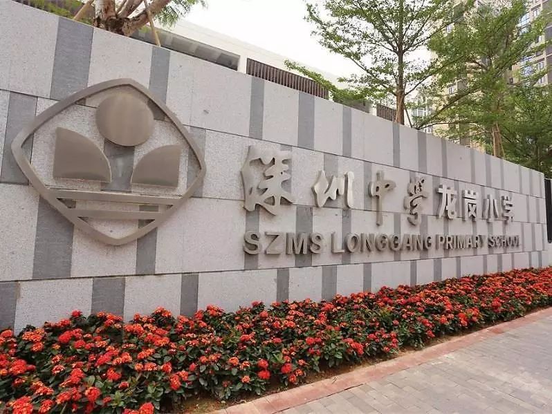 深圳龙岗十大小学排名,深圳龙岗区top10小学