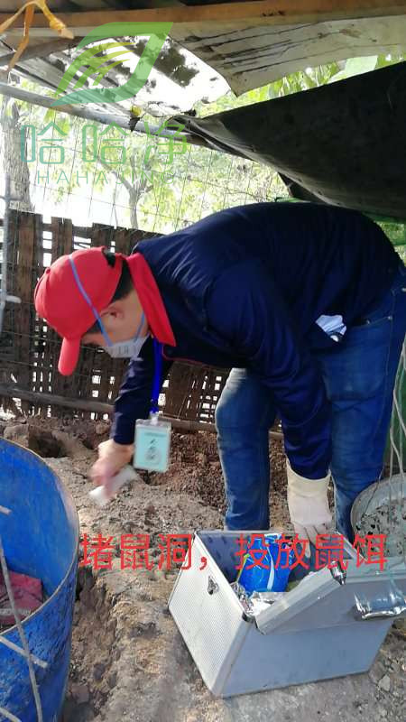 重庆长寿上门灭鼠公司,灭鼠公司上门收费标准