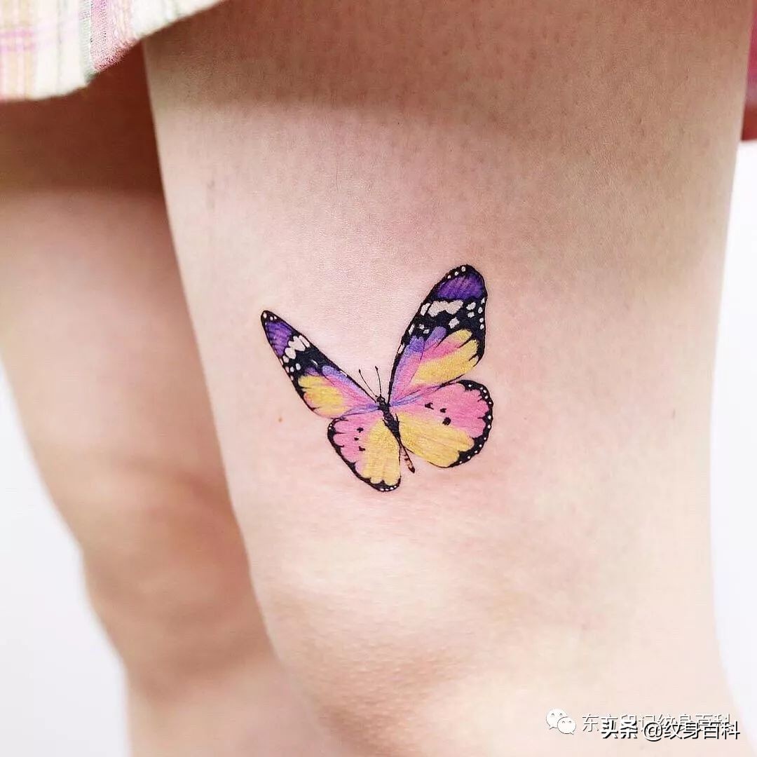 蝴蝶纹身图案代表什么,代表自由的蝴蝶纹身