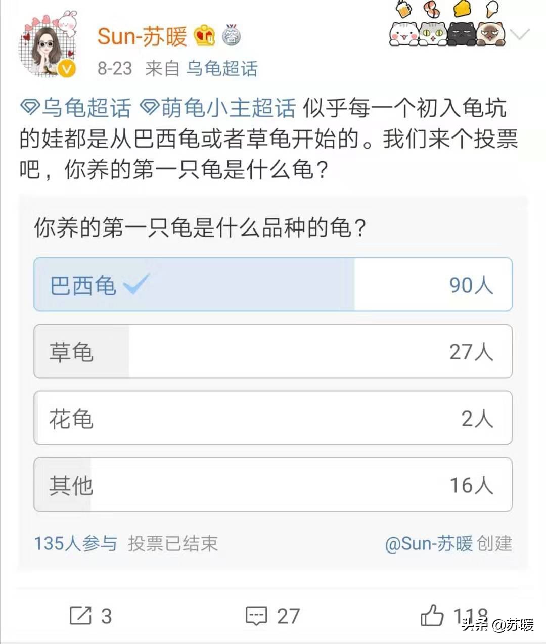 养巴西龟的十大小技巧,新手养红耳巴西龟怎么养