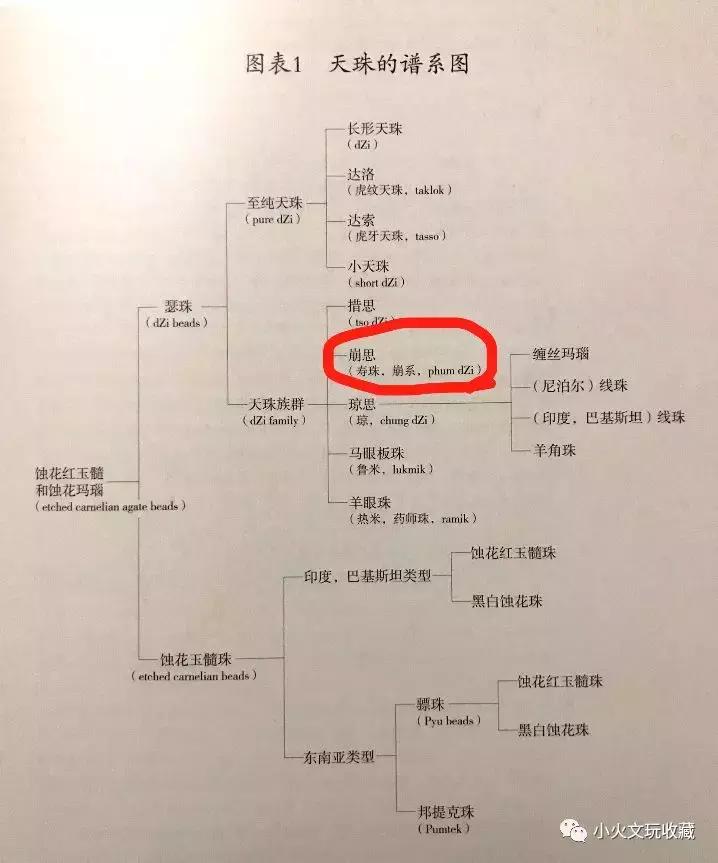 小火说彩票,小火说剧