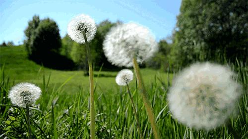 我们太太太太久没见了，这次我想跟你...