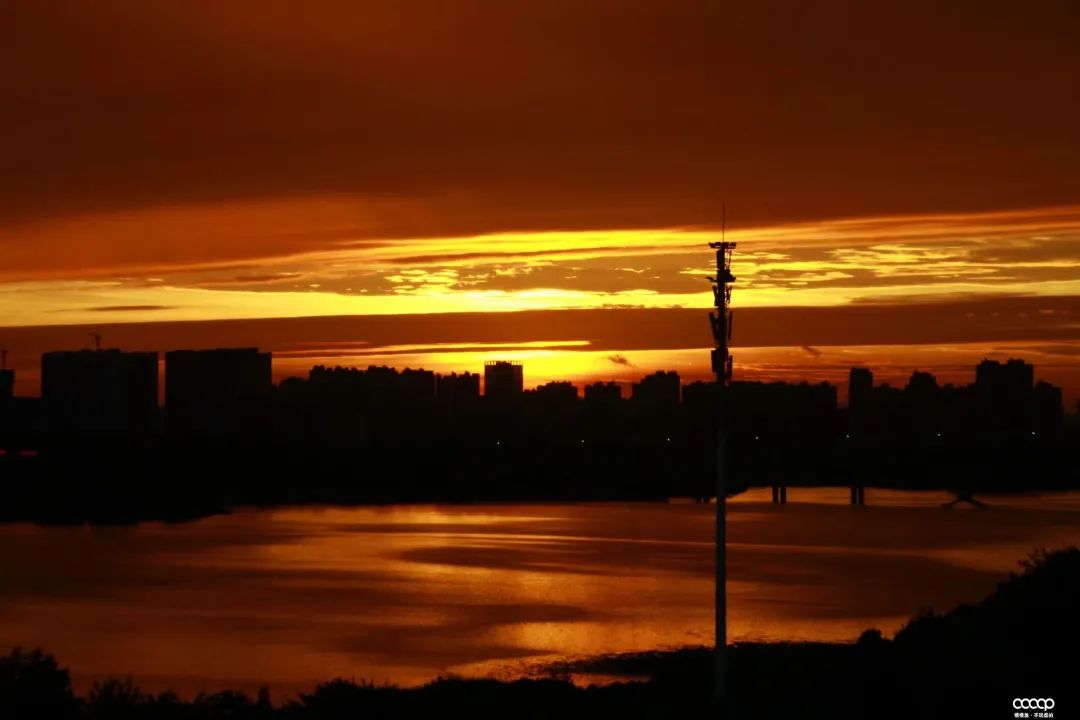 有毒！又一位宝藏小姐姐，玩核桃最爱“马虎”，朋友眼里是奇葩