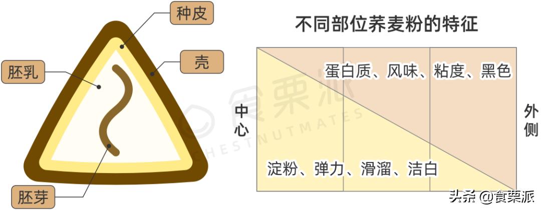 网上荞麦面真的减肥吗,荞麦面藕减肥真的假的