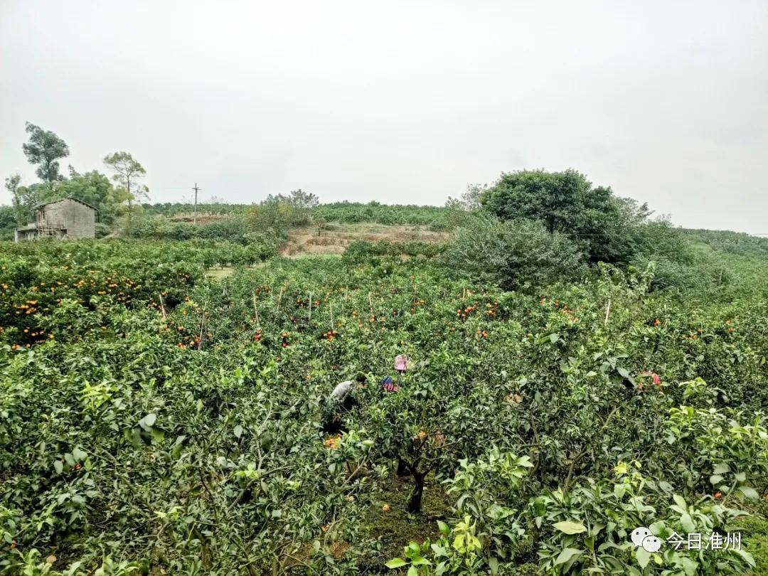 淮口景区,淮口附近旅游景区推荐一下