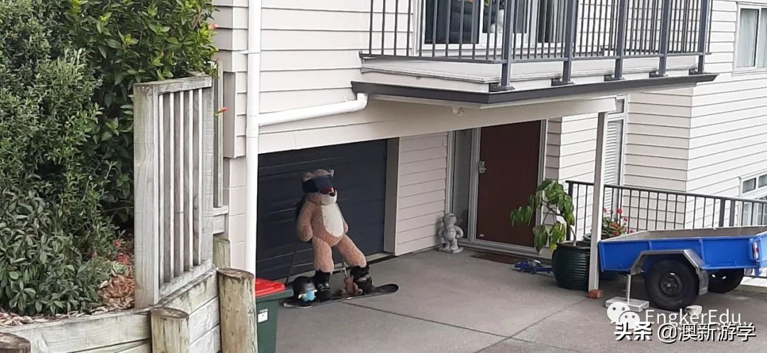 封城期间，玩偶一家的生活大揭秘