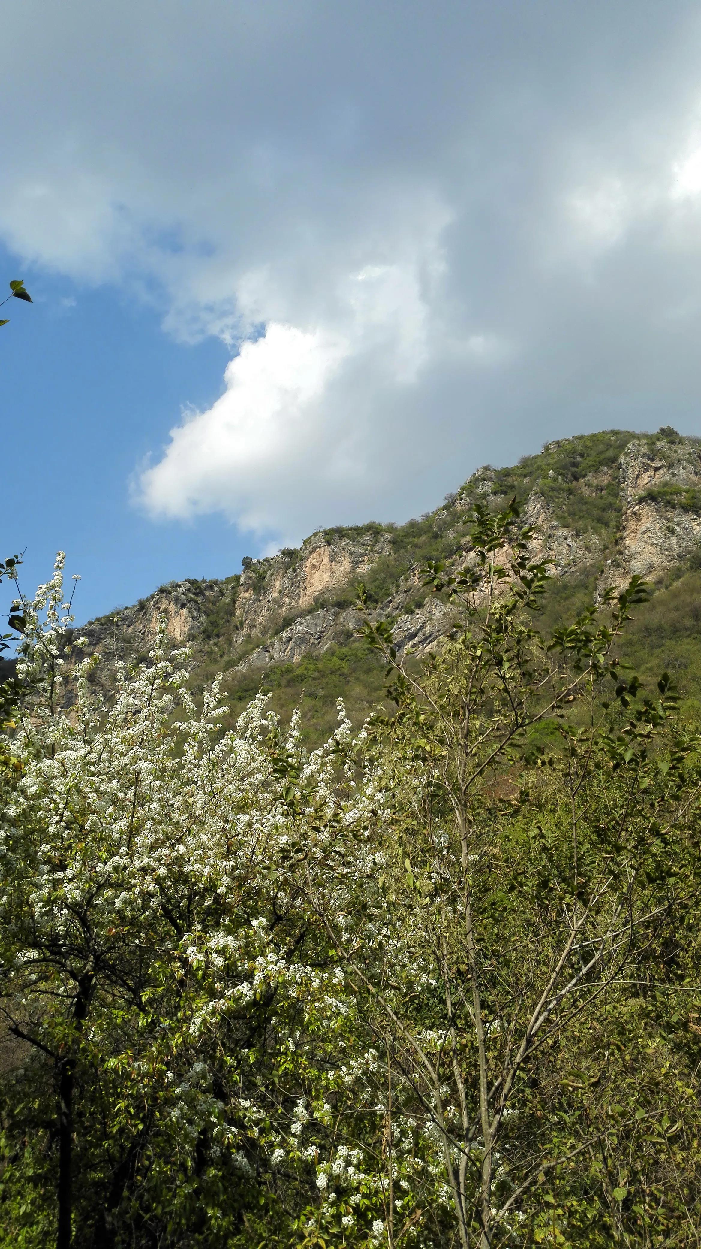 巴基斯坦女人嫁到中国,巴基斯坦的女人的地位