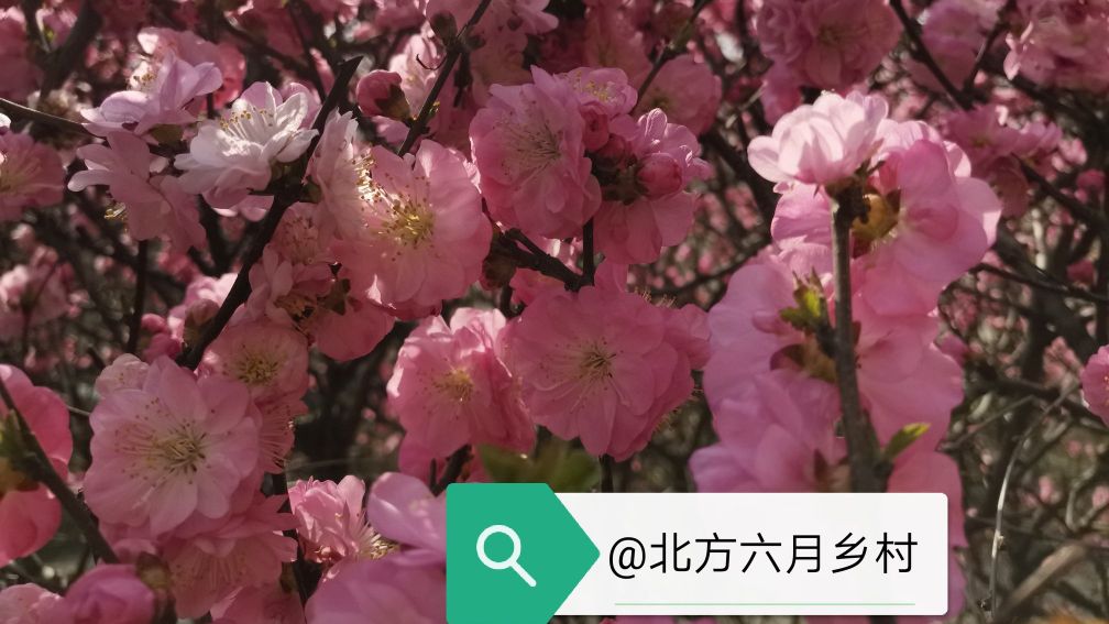 婆媳月子仇完整版,为什么月子仇这么难以释怀