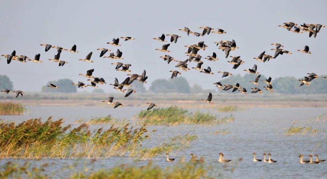 山东自驾游最佳旅游路线发布,山东自驾旅游攻略最全最好的线路