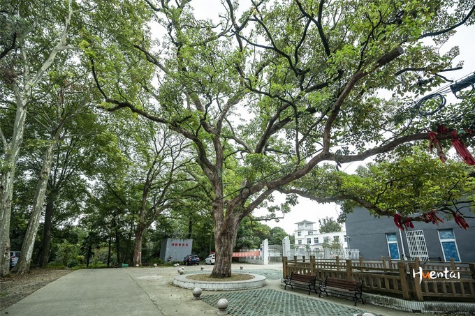 周末自驾游安徽郎溪,门票只花了30块,其它都是原生态秘境