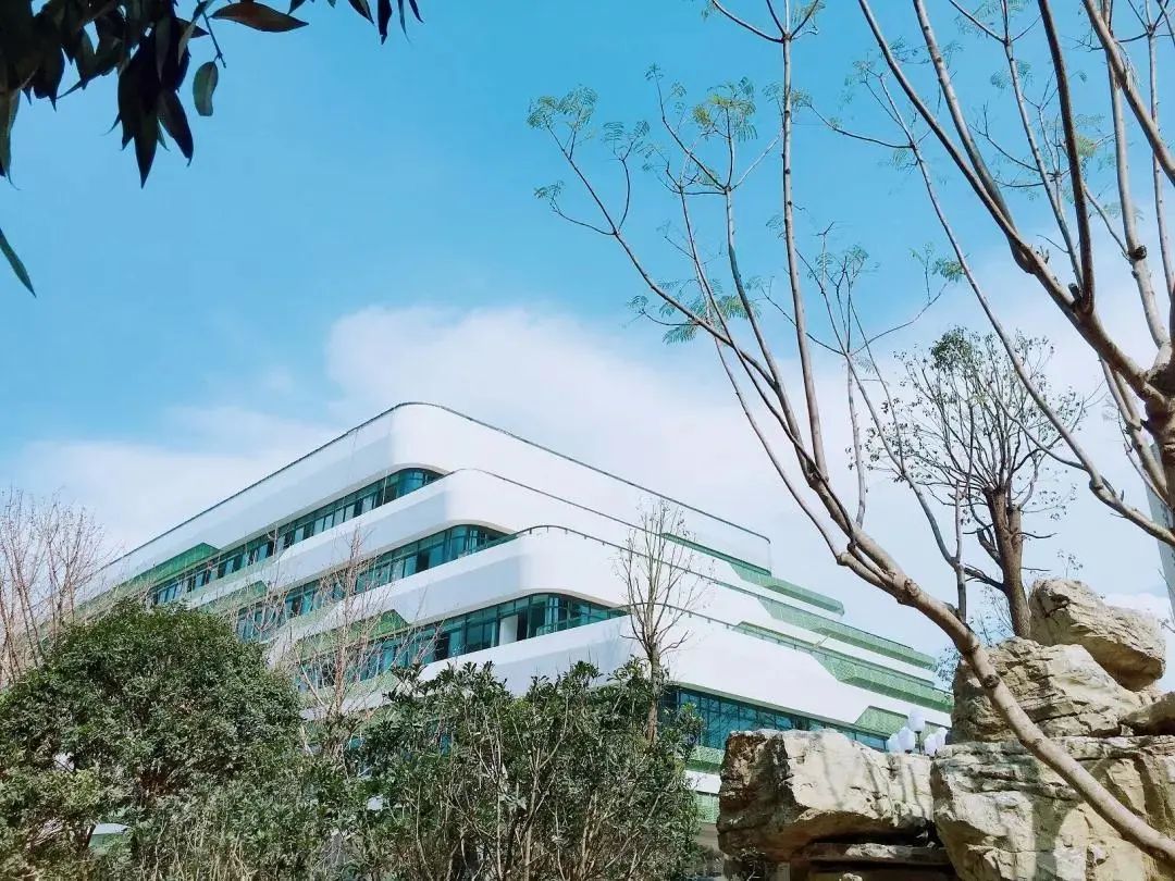 重庆外国语学校哪个好,重庆有哪些学校有国际班