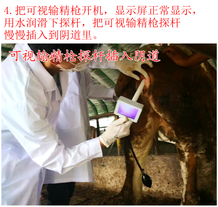 牛养殖技术答案,牛养殖技术及管理