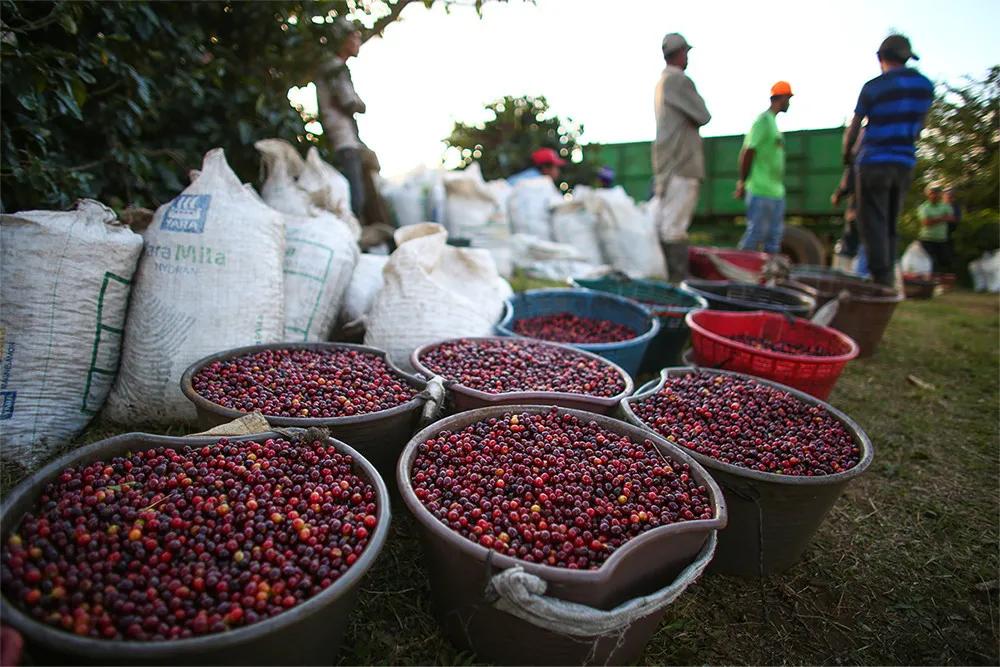 星巴克中国亏损了多少钱,星巴克去年亏损多少