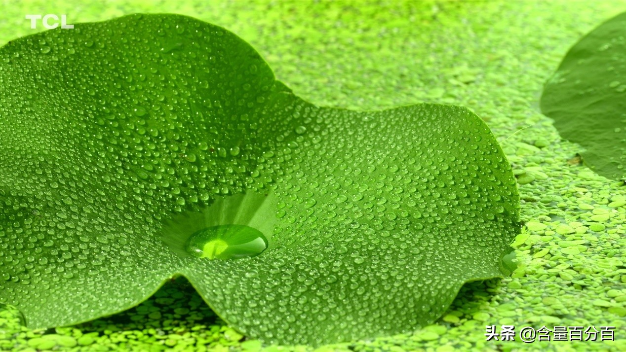 技嘉rtx3060显卡游戏测评,rtx30显卡详细解析