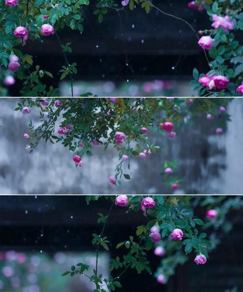 古典意象现代诗,意境深远的现代诗