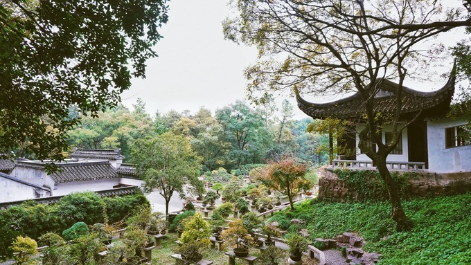 杭州西湖乌镇苏州南京上海攻略,天青色等烟雨乌镇旅游