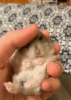 甭管啥就盘它,甭管什么东西盘它原版