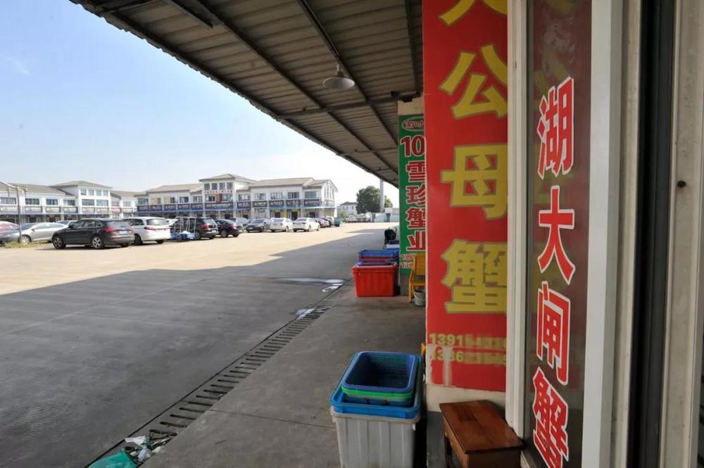 苏宁阳澄湖大闸蟹,苏宁易购官网阳澄湖大闸蟹