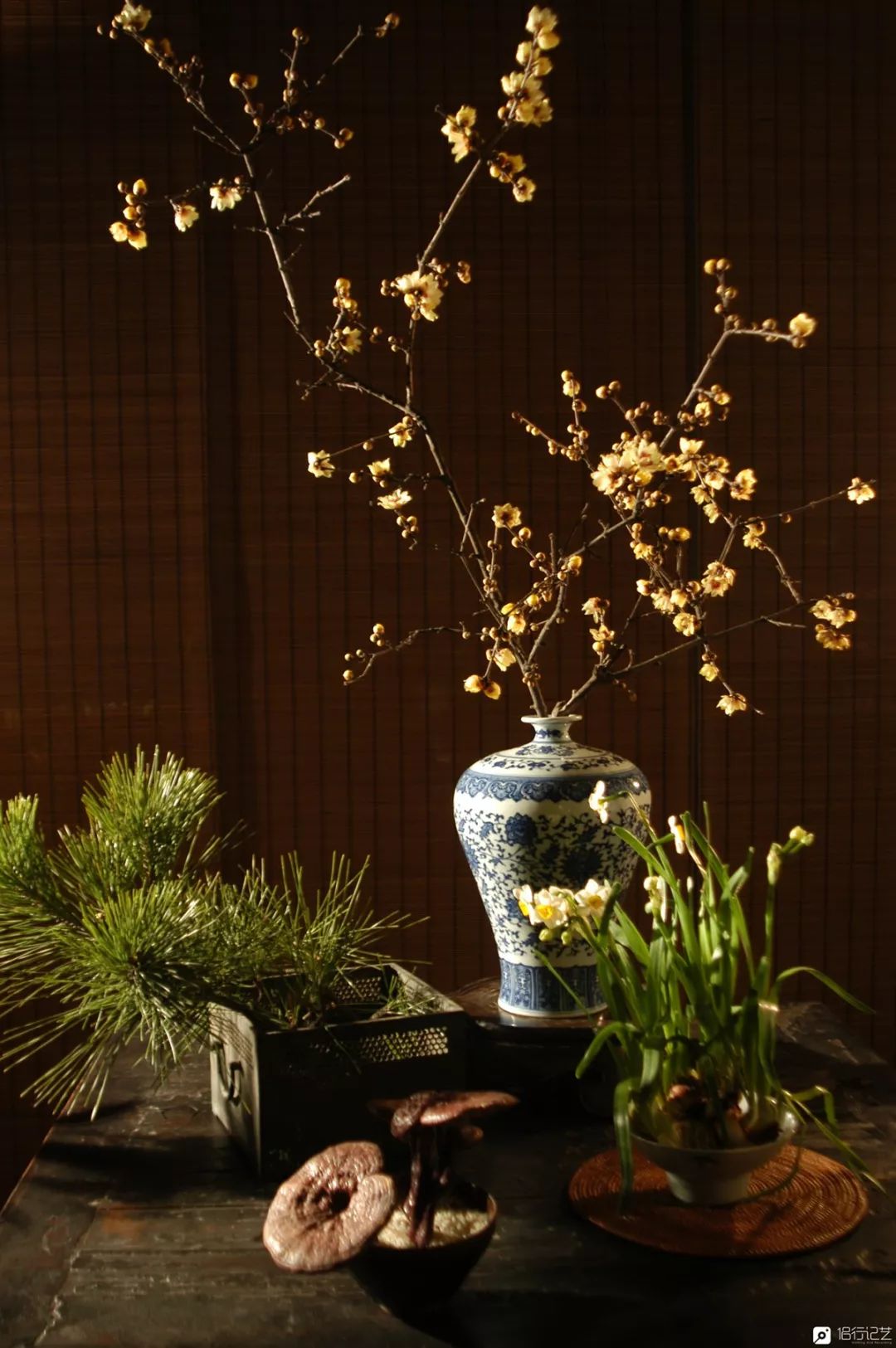 大叔花700万建的花园别墅,太湖石苏州