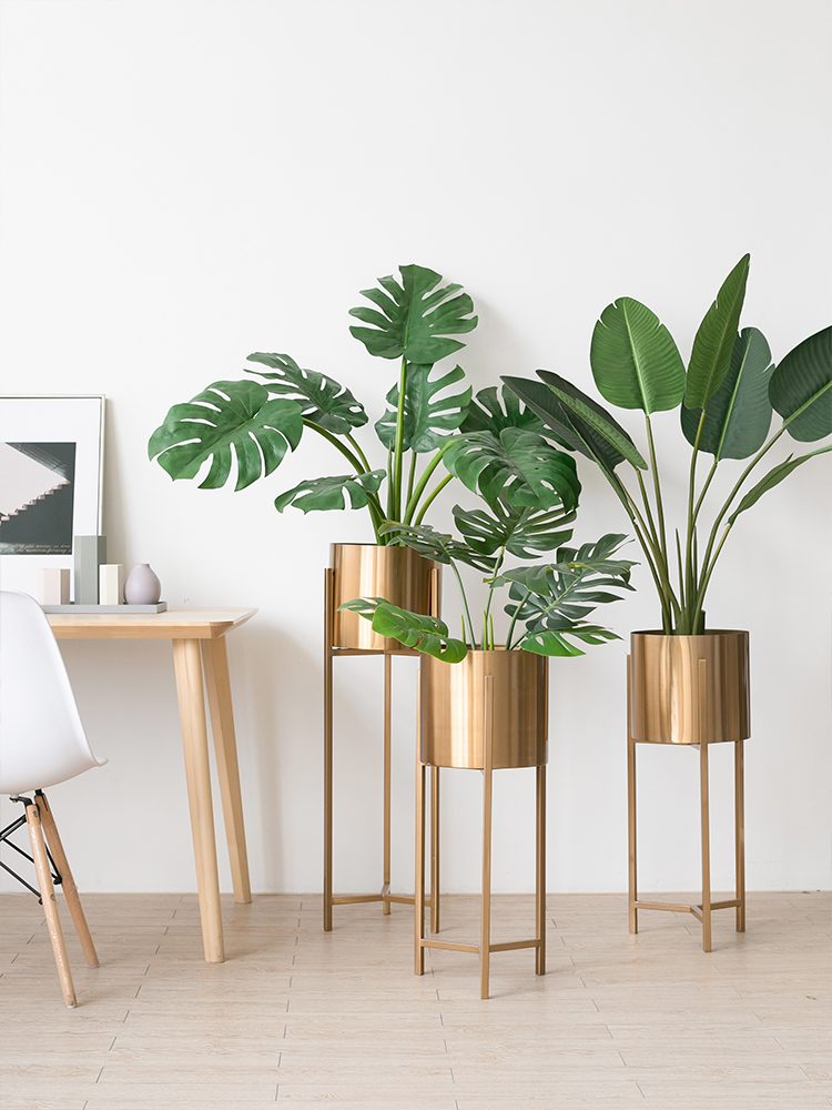 最具设计的淘宝店,设计淘宝店铺上哪儿找